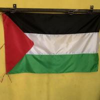 Gambar Terbaru Bendera Palestina Ukuran 80 X 120 Cm - 80cm x 120cm dari Shamisen undefined 3 Tokopedia