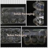 Gambar 1 DUS ISI 1000 MIKA TELUR ISI 6 DENGAN TUTUP PENGUNCI / EGG TRAY / TRAY TELUR dari Solusi packaging undefined 2 Tokopedia