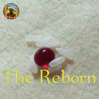 Gambar mustika merah delima asli Temuan dari The Reborn Tokopedia undefined 2 Tokopedia