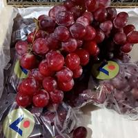 Gambar buah anggur merah fresh manis import 1 kg dari panglima buah segar undefined 1 Tokopedia