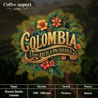 Gambar Colombia Jairo Arcila Pacamara Natural | Green bean import arabika 500gr dari coffee import gallery undefined 1 Tokopedia