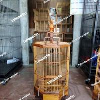 Gambar [new] sangkar burung kenari,blackstroot,cucak hijau mini,segi 8 kayu jati dari YOLAPANDA undefined 2 Tokopedia