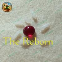 Gambar mustika merah delima asli Temuan dari The Reborn Tokopedia undefined 1 Tokopedia