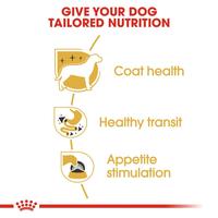 Gambar Makanan Anjing Chihuahua Dewasa Saset - Royal Canin Chihuahua 85g dari Klik Hewan undefined 4 Tokopedia