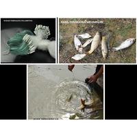 Gambar Ready Stok JALA JARING PUKAT UDANG IKAN LOBSTER JADI PANJANG 20 m KAGAWA NET - LUBANG 1/2 JARI dari Toko Triwesaso undefined 3 Tokopedia