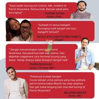 Gambar 2 Ekor Burung Parkit Australia Falk Sepasang dari jose lepuh undefined 3 Tokopedia