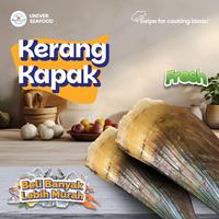 Gambar Kerang Kampak Live/Hidup dari Universeafood undefined 1 Tokopedia