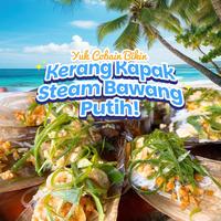 Gambar Kerang Kampak Live/Hidup dari Universeafood undefined 2 Tokopedia