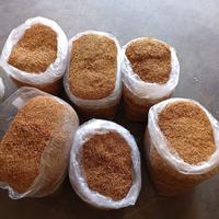 Gambar tembakau lembutan tionggang dan lamsi dari tembakau lembutan dan kopi arabika undefined 2 Tokopedia