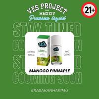 Gambar VES Salt 30ml 25mg - Saltnic Liquid by Ves Project - Watermelon Cndy dari JKP Vape Store undefined 2 Tokopedia