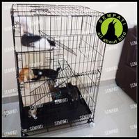 Gambar Kandang Kucing 60 3 Tingkat Kandang Kucing 60X40X90 Size Large Kcg3L Terlaris - MERAH PREMIUM dari Petzone Outlet undefined 4 Tokopedia