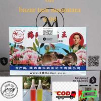 Gambar 1 DUS KECIL KOTAK ISI 25 PCS RACUN TIKUS 2M MAOWANG CAIR RACUN TIKUS MODEL TETES GROSIR RACUN CURUT - AB KUNING dari kecapsinar7 undefined 4 Tokopedia