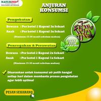 Gambar OBAT SAKIT KEPALA HERBAL VERTIGO AMPUH OBAT VERTIGO MIGRAIN ALAMI SAKIT KEPALA KLIYENGAN SEBELAH KIRI KANAN SAMPING BELAKANG TERBUKTI VERMIFIT NATURINDO BPOM MUI - RINGAN dari Medical Care Shop undefined 4 Tokopedia