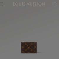 Gambar Dompet kartu Card Holder LV Louis Vuitton Envelope Carte De Visite dari DA Waredrobe undefined 1 Tokopedia
