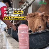 Gambar Bakteri EM4 peternakan 1 Liter dari PUROTANI.ID undefined 4 Tokopedia
