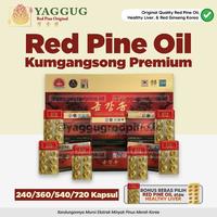 Gambar Red Pine Oil Korea Kumgangsong Premium - JANGKA PANJANG - 240 Caps+Bonus dari Red Pine Oil Original Quality undefined 1 Tokopedia
