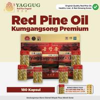 Gambar Red Pine Oil Korea Kumgangsong Premium 180 Kapsul - 180 Capsul dari Red Pine Oil Original Quality undefined 1 Tokopedia
