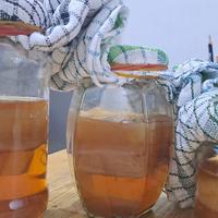 Gambar scoby tipis transparant jamur kombucha 100gr dari Ragyeast undefined 3 Tokopedia
