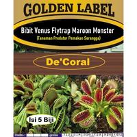 Gambar Ready Bibit Tanaman Venus Flytrap Maroon | Bibit Tanaman Pemakan Serangga |Benih Venus Flytrap dari omahwangi88 undefined 1 Tokopedia