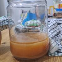 Gambar scoby tipis transparant jamur kombucha 100gr dari Ragyeast undefined 4 Tokopedia