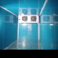 Gambar Cold storage freezer/cold room/ penyimpanan daging dari MAHKOTA MESIN KITCHEN undefined 3 Tokopedia