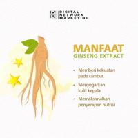 Gambar Terbaru Kopi Gingseng K Link K Coffe Klink top dari zainaldkhasim undefined 3 Tokopedia