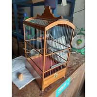 Gambar JUAL SANGKAR REPLIKA BNR MATANG UKURAN NOMOR 4 DAN 5 DAN 6 UNTUK BURUNG PLECI KONIN SOGON MATANG MATENG FINISHING PERNIS COKLAT KECIL RUJI FUL FIBER LENGKAP KARPET DAN KUNCI SIAP PAKAI JANGAN LUPA ORDER EXTRA PAKING KAYU DIJAMIN ASLI LANGSUNG DISTRIBUTOR dari SALLY CORNER undefined 1 Tokopedia