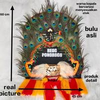 Gambar REOG 60CM / REOG MINI/ REOG ASLI/ REOG ASLI / DADAK MERAK / REOG / BARONGAN / PECUT / CAMBUK dari Rudycellcom undefined 1 Tokopedia