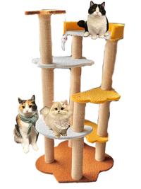 Gambar 7 Lantai Rumah Kucing Garukan Kucing Mainan Kucing Cat Tree House Cat Playground Tempat Tidur Kucing dari Miaw Coca Cola undefined 1 Tokopedia