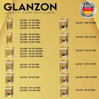 Gambar Lampu Halogen Foglamp Bulat Panther Touring H11 12V 55 WATT- Glanzon Original dari Trisula Autoparts undefined 2 Tokopedia