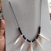 Gambar Kalung Taring Etnik Papua / Kalung Pelengkap Pakaian Adat - 3 Taring mix dari berkah jaya Tangsel undefined 4 Tokopedia