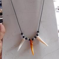 Gambar Kalung Taring Etnik Papua / Kalung Pelengkap Pakaian Adat - 3 Taring mix dari berkah jaya Tangsel undefined 3 Tokopedia