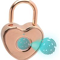 Gambar Gembok Sidik Jari Berbentuk Hati Gembok Pintar Kecil Gym Locker Backpag Kotak Surat Sekolah Koper Travel Rose Gold dari Cokek Market undefined 1 Tokopedia