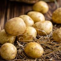Gambar Bibit Pilihan Kentang Organic Baby Dieng | Biji Benih Kentang Dieng Baby | Kentang dari Sunnybeach undefined 2 Tokopedia