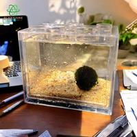 Gambar CUBESPHERE MARIMO HABITAT | GIFT KADO MOSS LUMUT KEBERUNTUNGAN JEPANG KODE 1416 dari Bumi Retawu undefined 1 Tokopedia