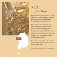 Gambar I'm From Rice Toner - Size: 150 ml - Edit by Sociolla - Size: 150 ml dari BAGUNSTORE undefined 3 Tokopedia
