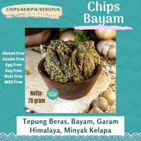 Gambar Chips Keripik Bayam Non MSG - Gluten Free - Diet Special Needs dari Diet Special Needs undefined 3 Tokopedia