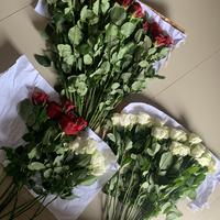 Gambar Bunga mawar fresh pertangkai vancyy florist ready Batam bunga potong - Putih dari VANCYY FLORIST undefined 3 Tokopedia