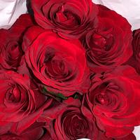 Gambar Bunga mawar fresh pertangkai vancyy florist ready Batam bunga potong - Putih dari VANCYY FLORIST undefined 1 Tokopedia