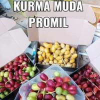 Gambar baru ni Kurma Muda Ruthob barhi Kuning Merah untuk Promil 250 gram/kurma rutob - 250gr dari Mamah DILAN undefined 1 Tokopedia