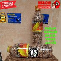 Gambar Pakan Makanan Burung Kenari Viral Juragan Kemasan Botol Aqua Milet Putih Miltih Racikan Lengkap dari Fade Garage undefined 4 Tokopedia