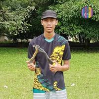 Gambar Bumerang Boomerang COBRA Outdoor Mainan Tradisional Edukatif Sport Fun dari BILIK ART MEDIA undefined 3 Tokopedia