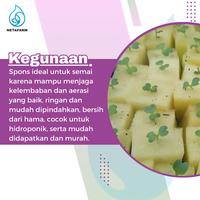 Gambar Spons Media Tanam Semai Hidroponik 64 Lubang set 2 Lembar dari NETAFARM undefined 2 Tokopedia