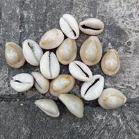 Gambar Kewuk Abu / Kuwuk Abu 200 gram dari Pelangi Mainan undefined 3 Tokopedia