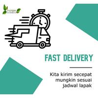 Gambar JAMU GODOKAN HABIS BERSALIN. Untuk Wanita yang Habis Melahirkan dari OmahJamuToped undefined 3 Tokopedia