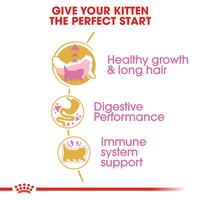 Gambar Royal Canin Persian Kitten (2kg) Dry Makanan Anak Kucing - Feline Breed Nutrition dari Sinar Petstore Medan undefined 5 Tokopedia