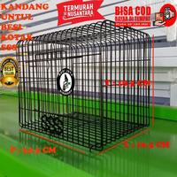 Gambar Kandang Kecil Untul Sss Elite Song Untulan Bahan Besi Burung Pleci - LENGKUNG HIJAU dari Fade Garage undefined 4 Tokopedia