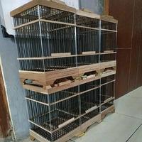Gambar Kandang Kecil Tiang Besi Burung Pleci Prenjak Sangkar dari Fade Garage undefined 3 Tokopedia