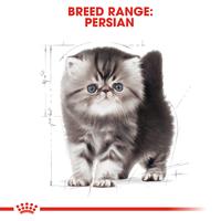 Gambar Royal Canin Persian Kitten (2kg) Dry Makanan Anak Kucing - Feline Breed Nutrition dari Sinar Petstore Medan undefined 4 Tokopedia