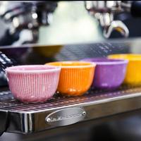 Gambar Boram Um Tasting Cup by LOVERAMICS dari Space Roastery undefined 5 Tokopedia
